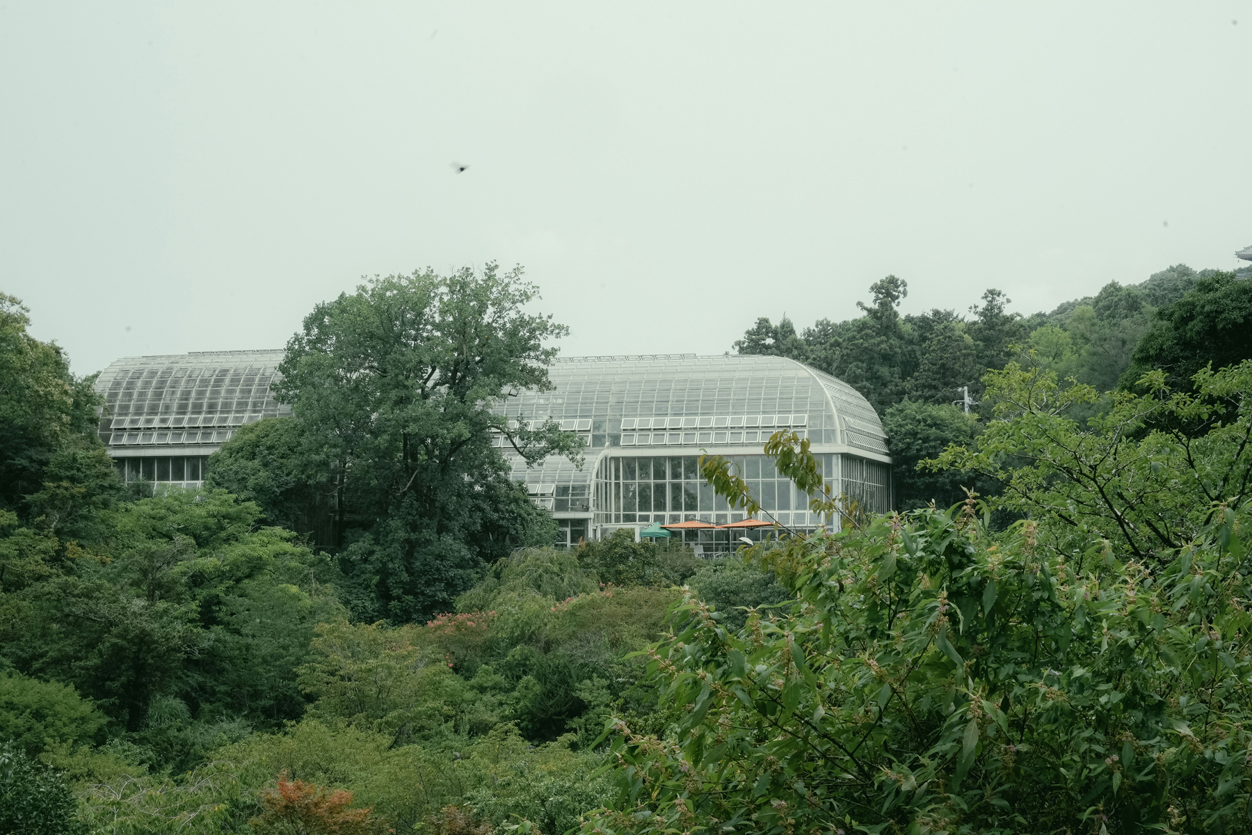 Wintergarten mit Glasdach an einem Wohngebäude