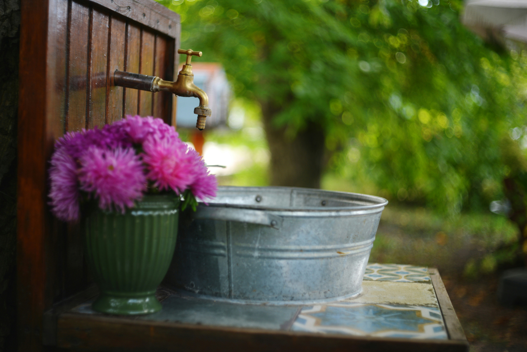 Eimer mit Seifenwasser und Reinigungszubehör im Freien
