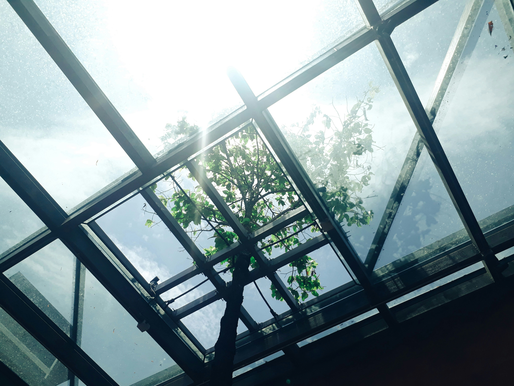 Terrassendach aus Glas über einer Außenterrasse